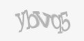 Защитный код